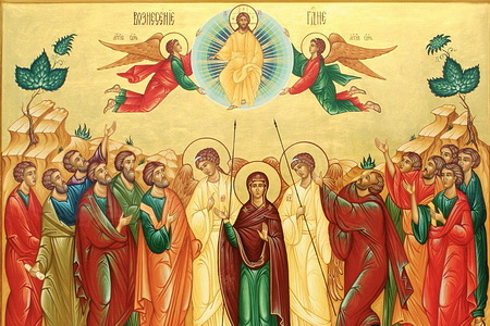 Вознесение 11