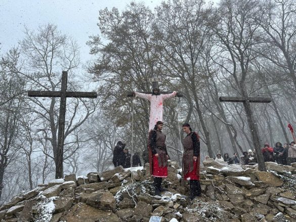 photo_2025-04-06_22-46-40