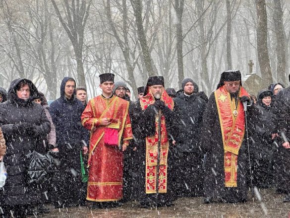 photo_2025-04-06_22-46-59 (2)