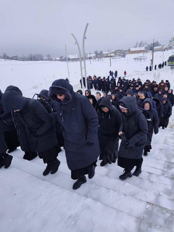 photo_2026-01-31_20-22-58